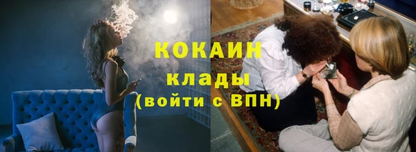 винт Абаза
