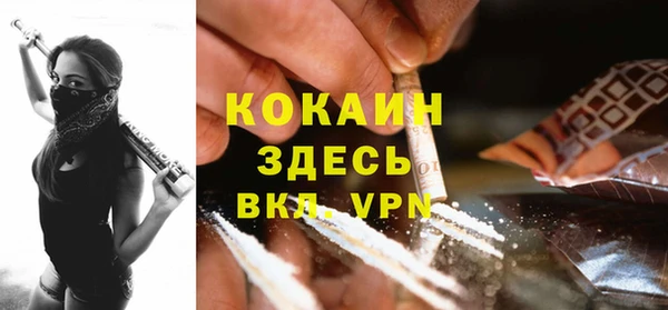 винт Абаза