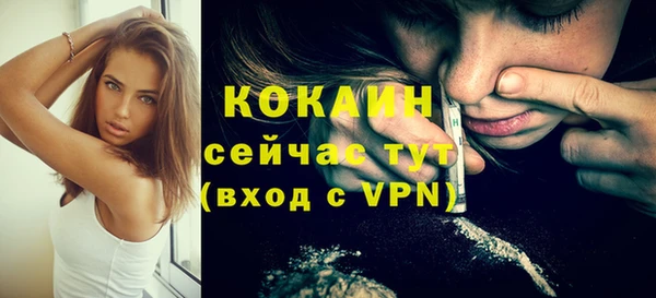 кокс Елизово