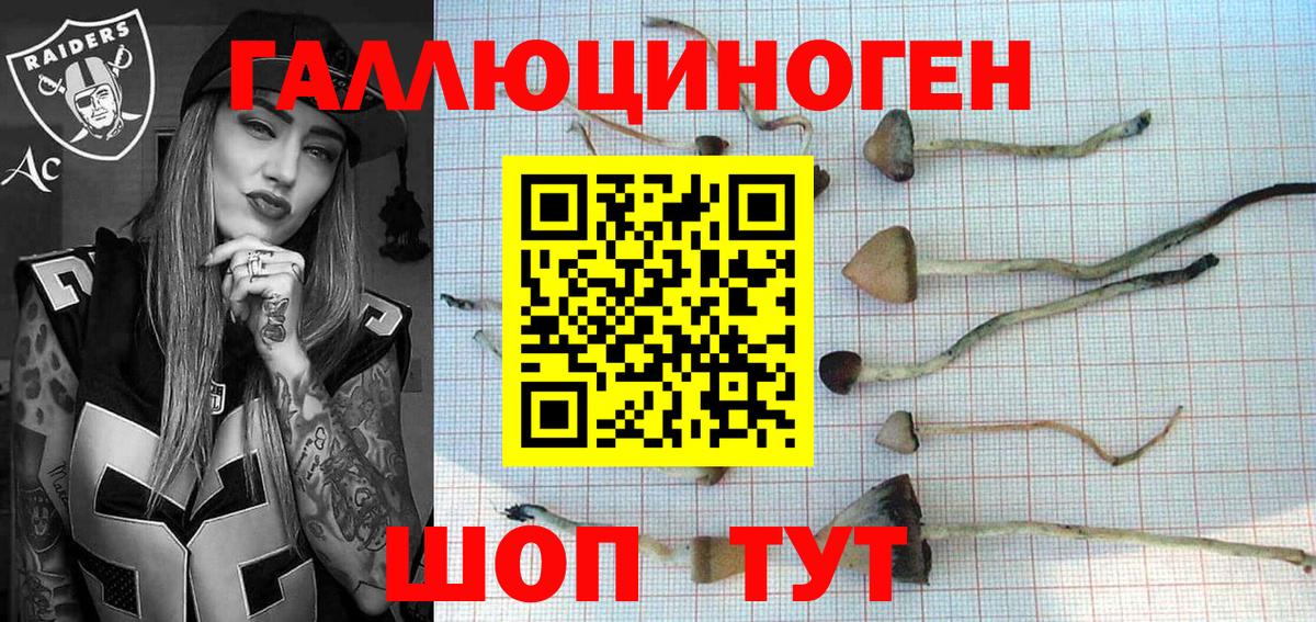 Псилоцибиновые грибы Cubensis Чапаевск