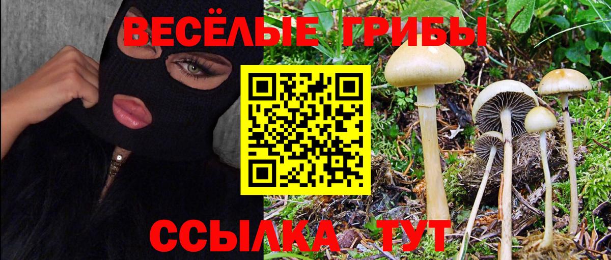 Псилоцибиновые грибы Psilocybine cubensis  Вход с VPN  Чапаевск 
